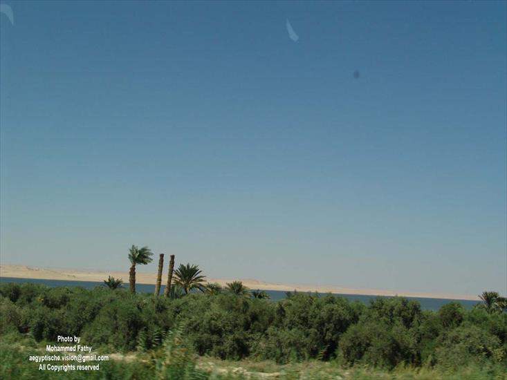 Wadi Rayan - Wadi Rayan 16.jpg